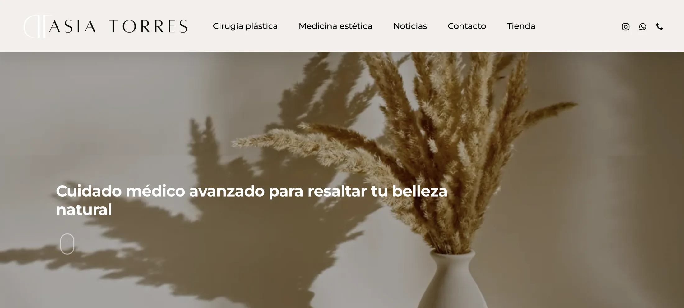 Portada de la web anterior